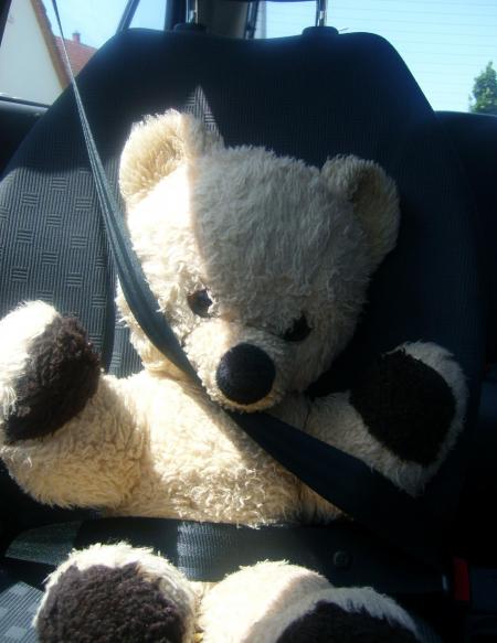Nounours en vacances chez Cat ...