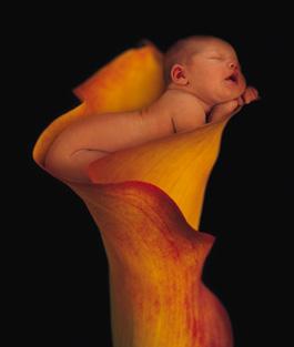 Bienvenue � Lara !!!